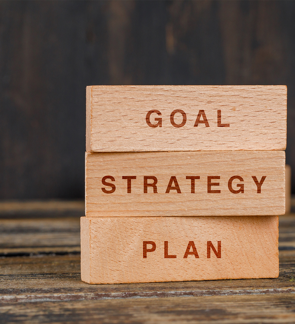goal-strategy-plan - The Vanilla Theory
